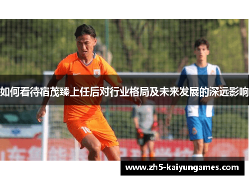 如何看待宿茂臻上任后对行业格局及未来发展的深远影响 如何看待宿茂臻上任后对行业格局及未来发展的深远影响