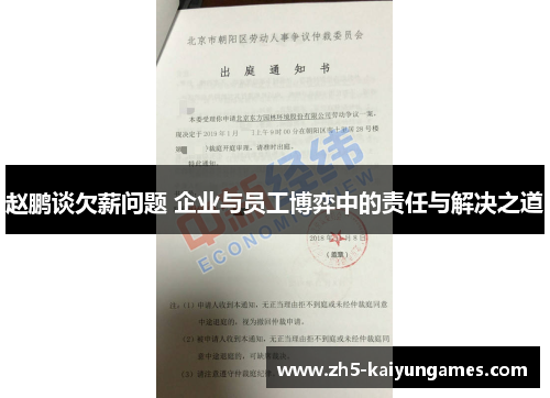 赵鹏谈欠薪问题 企业与员工博弈中的责任与解决之道 赵鹏谈欠薪问题 企业与员工博弈中的责任与解决之道